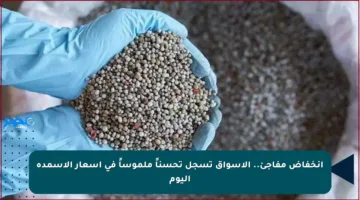 انخفاض مفاجئ.. الأسواق تسجل تحسناً ملموساً في أسعار الأسمدة اليوم